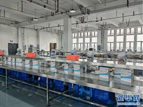 聚焦高质量发展 从热词到热度——新质生产力引领的龙江网络游戏开发实践